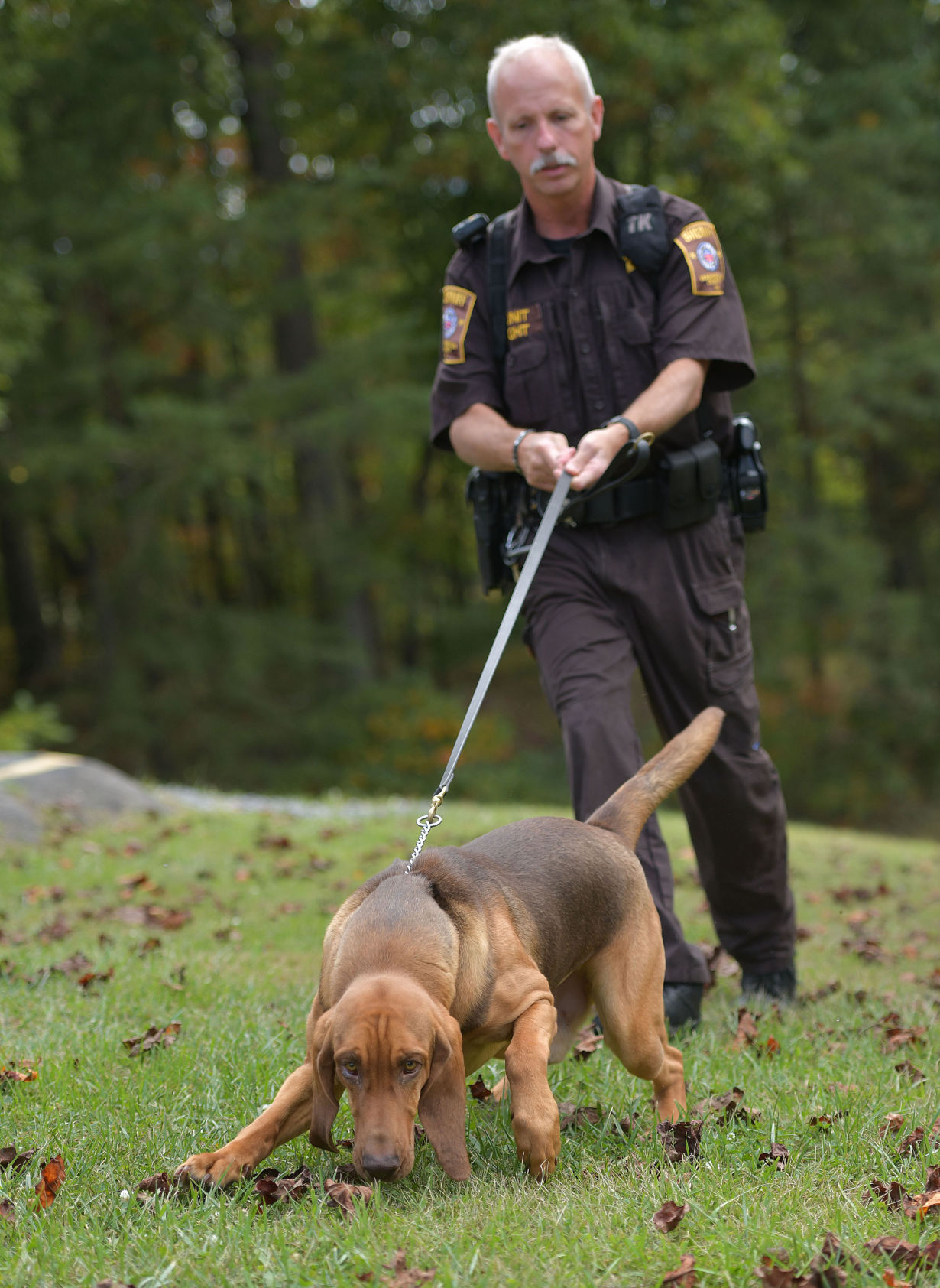WCSO K9 08